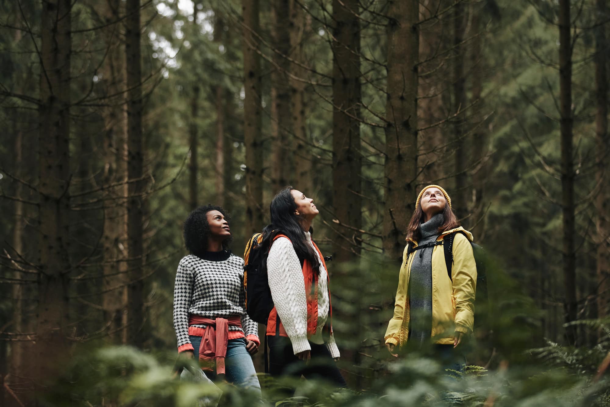 Adventure Therapy Program