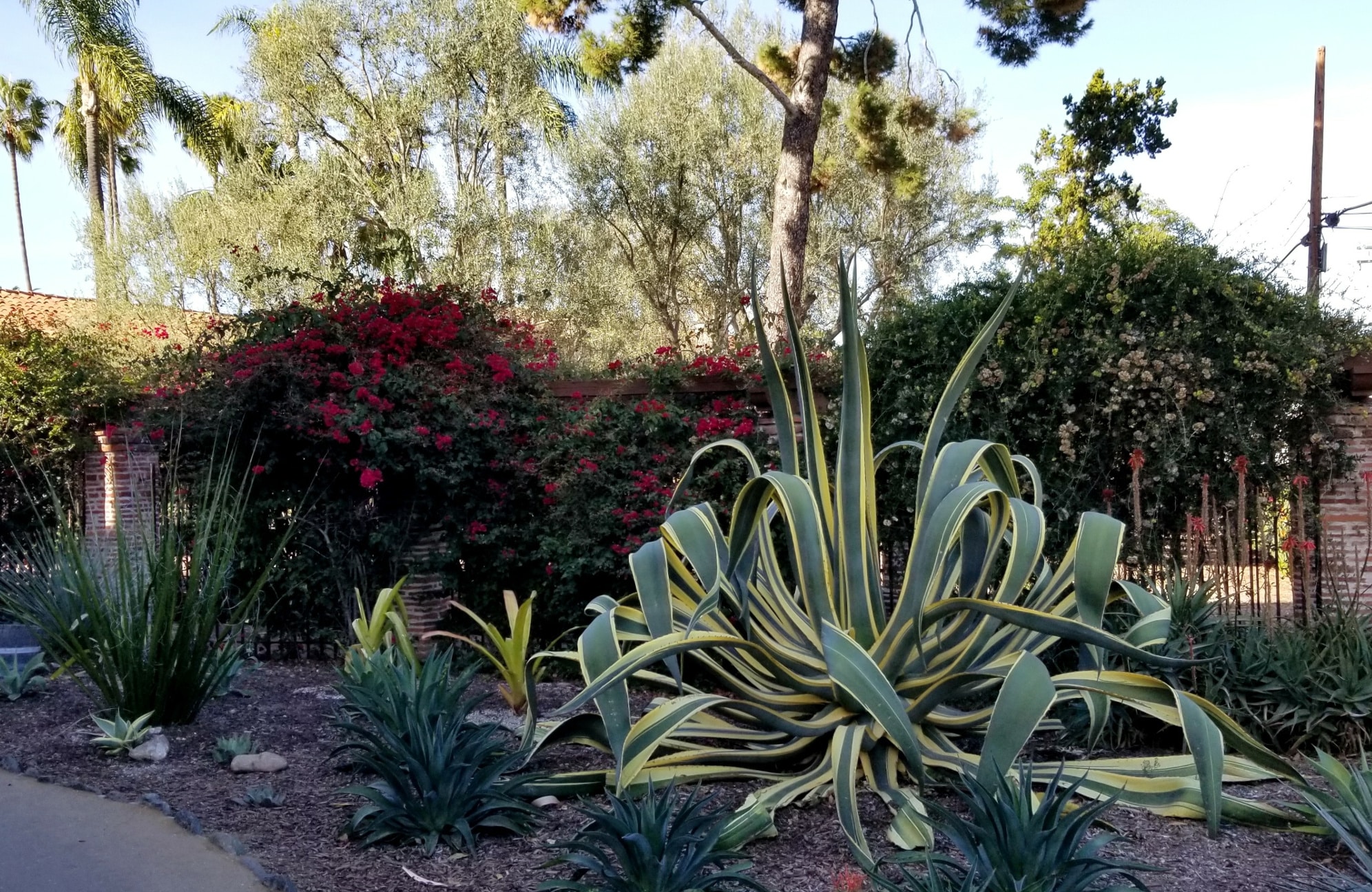 Arboretum, California