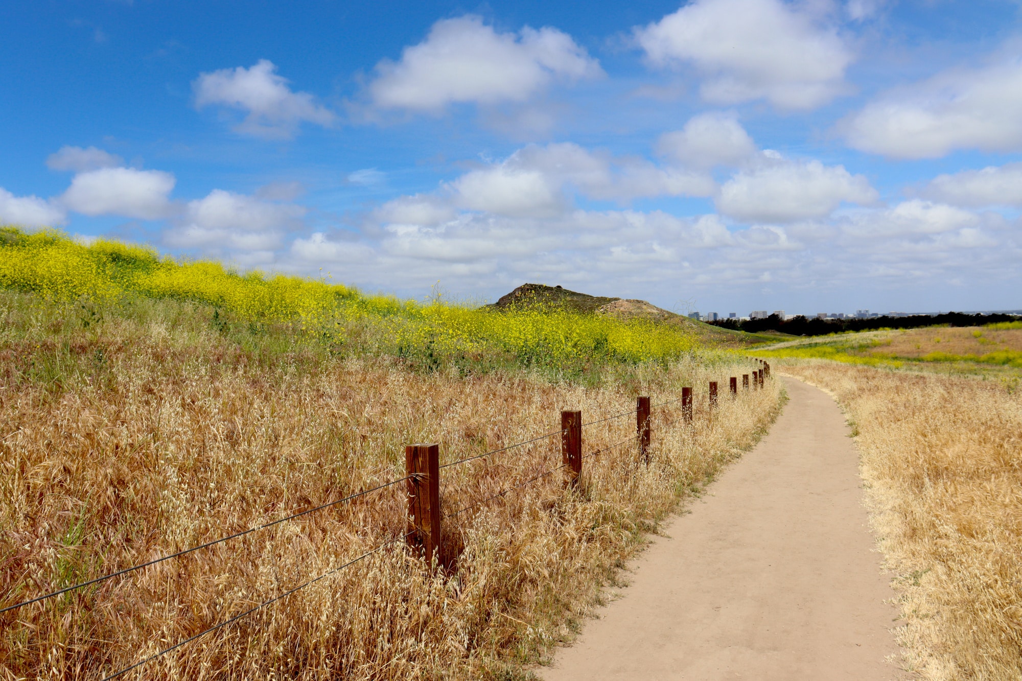 Irvine California