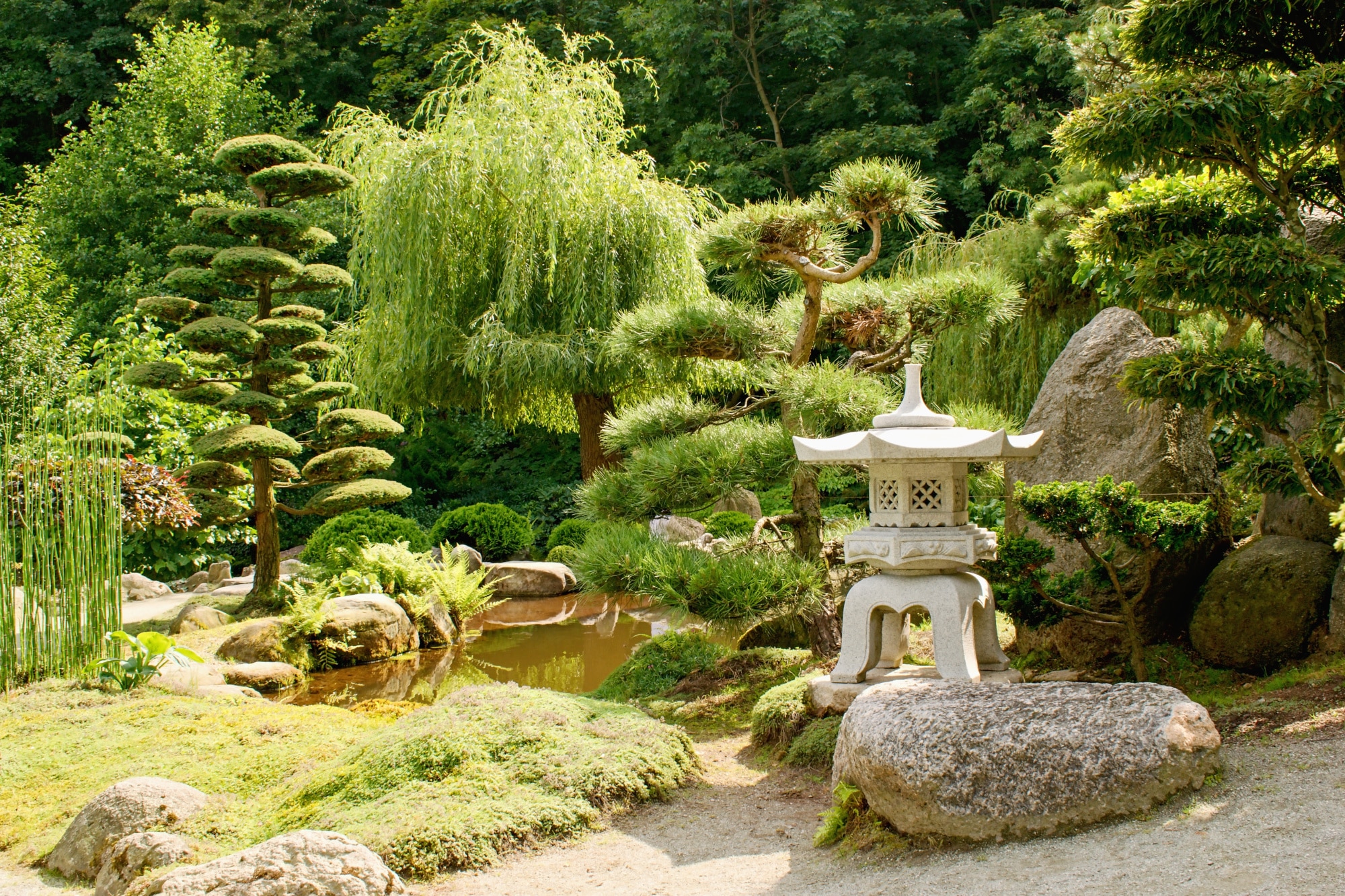 japanese garden