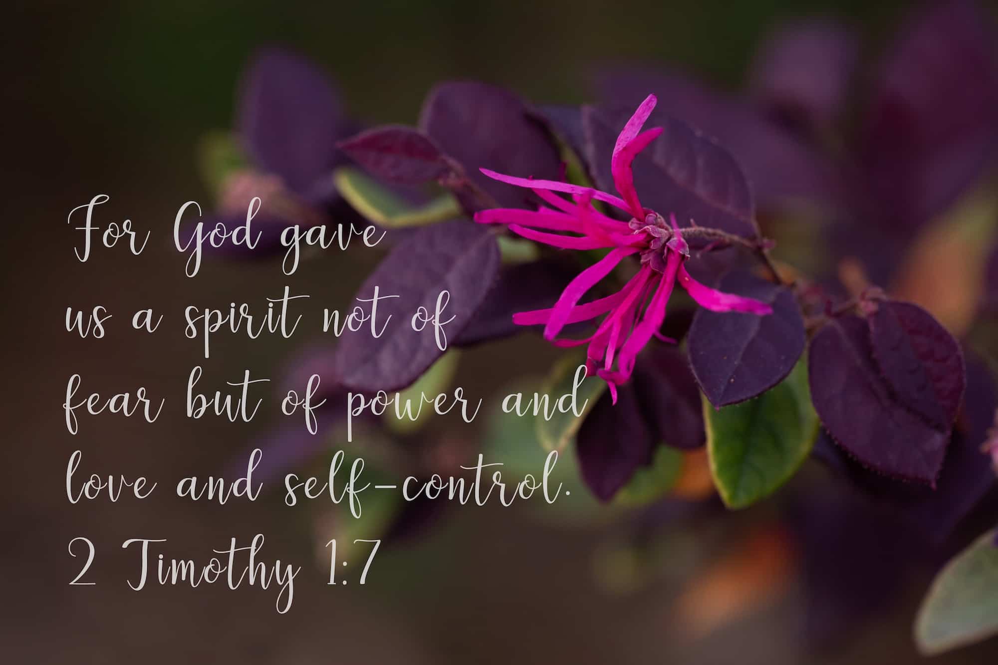 Verse from 2 Timothy 1:7 about perseverance and self-control